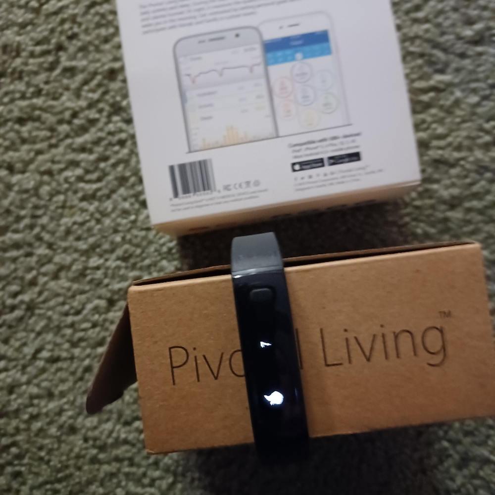 PIVOTAL LIVING BAND - Picture 5 of 11
